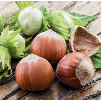 Screenshot 2025 04 18 at 8.21.49