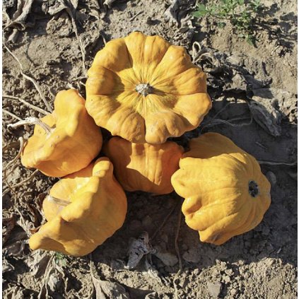 Screenshot 2026 01 08 at 21.12.31