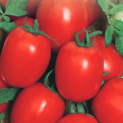 41007 screenshot 2025 06 05 at 14 13 50