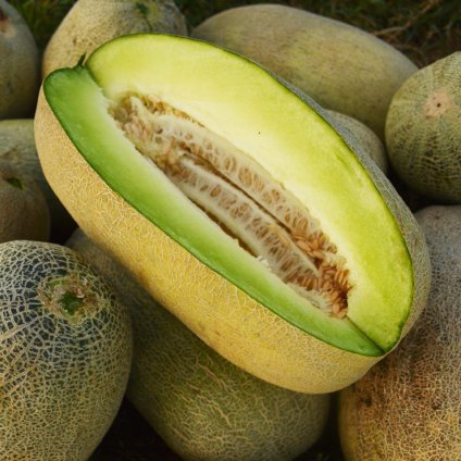 41022 screenshot 2025 06 05 at 15 21 40