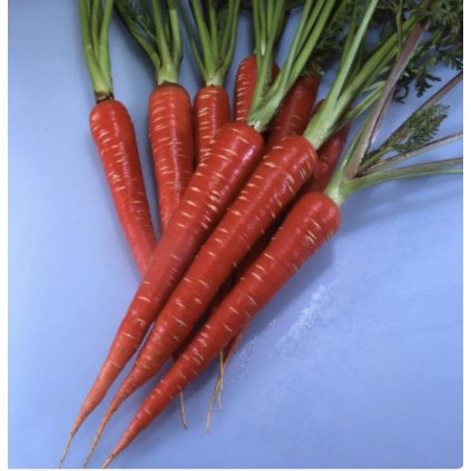 41025 2 screenshot 2026 01 10 at 20 38 30