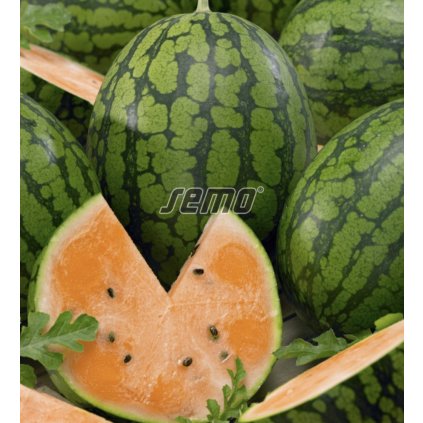 41034 screenshot 2025 05 14 at 16 02 13