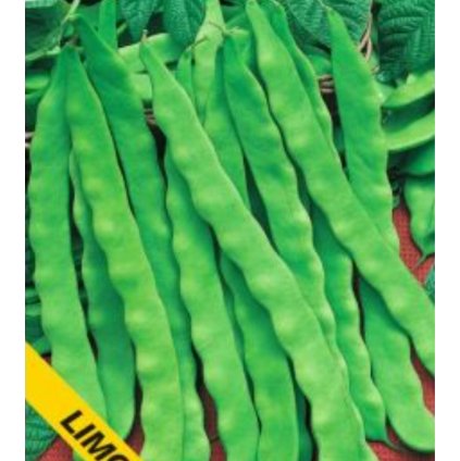 41043 screenshot 2025 05 30 at 17 08 07