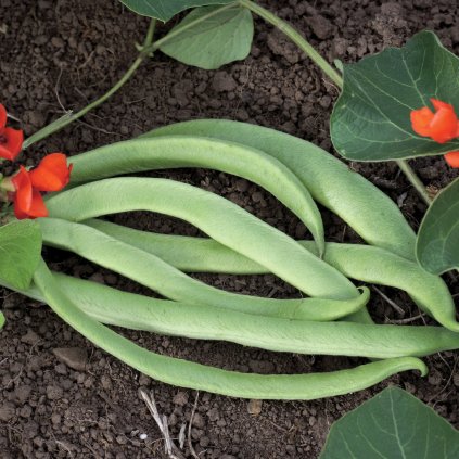 41046 screenshot 2025 05 30 at 17 09 33