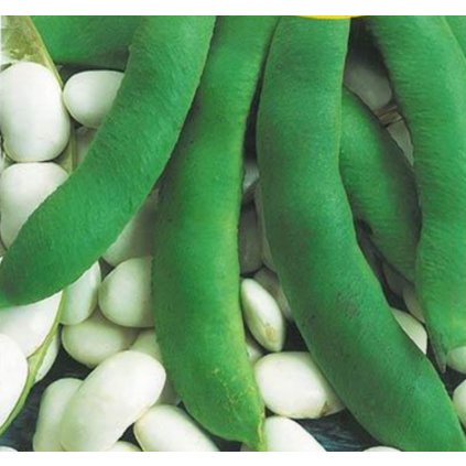 41052 screenshot 2025 05 30 at 17 14 58