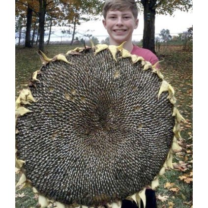 41055 screenshot 2025 05 20 at 11 57 03