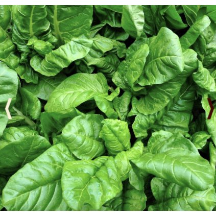 Screenshot 2026 01 27 at 15.35.59