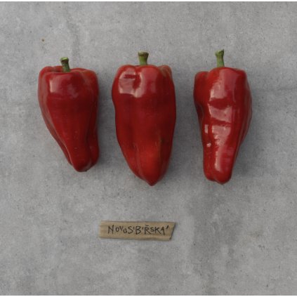 43236 screenshot 2025 12 08 at 10 36 53