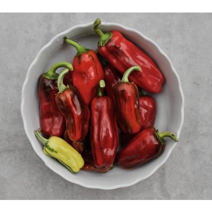 43239 screenshot 2026 01 13 at 10 18 25