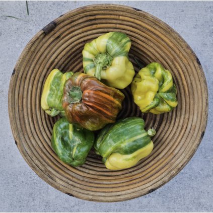 43242 1 screenshot 2025 12 08 at 14 31 41