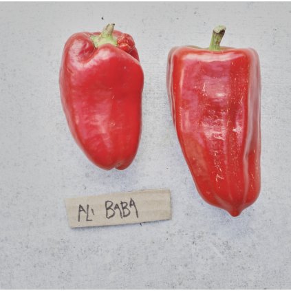 43245 1 screenshot 2025 12 08 at 15 13 56