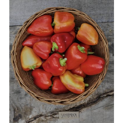 43254 1 screenshot 2025 12 08 at 10 08 18