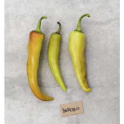 Screenshot 2026 01 08 at 21.27.44