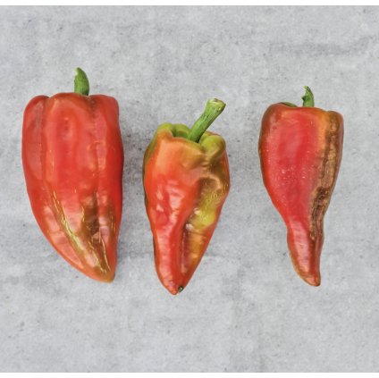 43266 1 screenshot 2025 12 19 at 6 10 53