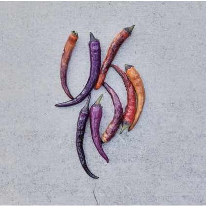 43275 1 screenshot 2025 12 08 at 10 20 28