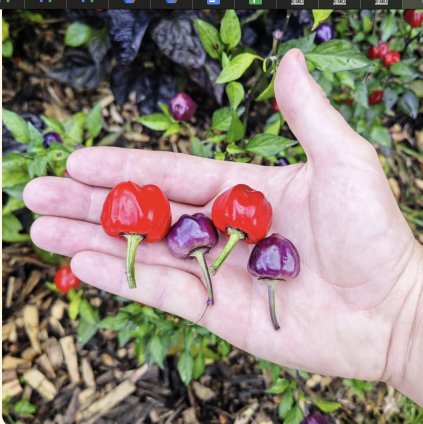 Screenshot 2026 01 08 at 22.04.56