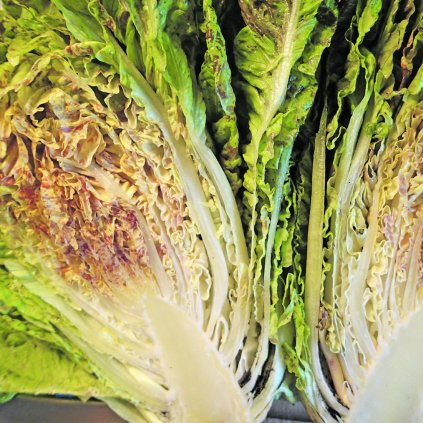 432 salat rimsky kropenaty