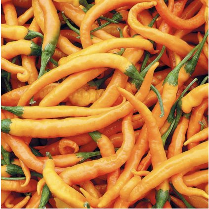 43302 screenshot 2026 01 09 at 21 23 59