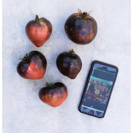 Screenshot 2026 01 09 at 21.53.48