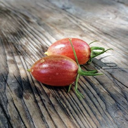 43344 screenshot 2026 01 10 at 21 08 24