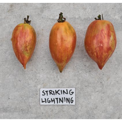 43347 screenshot 2026 01 09 at 23 08 54