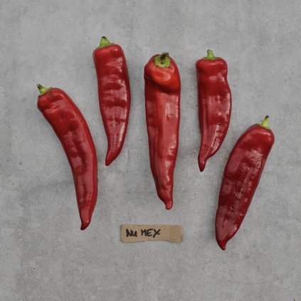 43359 screenshot 2025 12 08 at 10 19 30