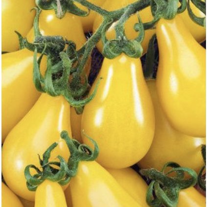 43362 screenshot 2026 01 10 at 20 52 32