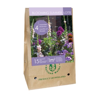 BAG 15 BULBS - BLOOMING SUMMER LOTTE ZAKX