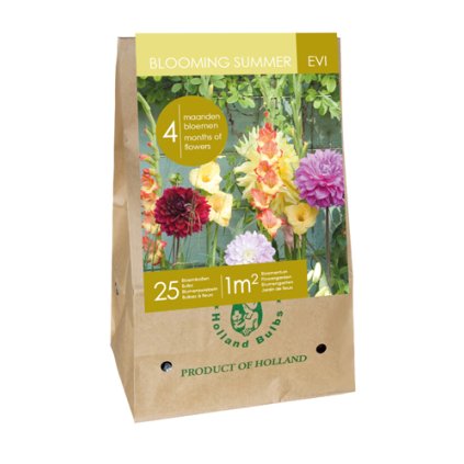 BAG 25 BULBS - BLOOMING SUMMER EVI ZAKX