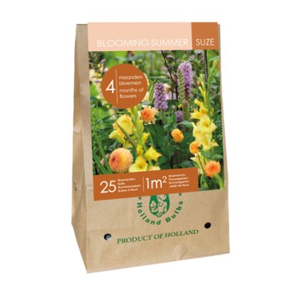 BAG 25 BULBS - BLOOMING SUMMER SUZE ZAKX