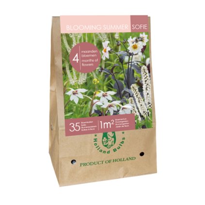 BAG 35 BULBS - BLOOMING SUMMER SOFIE ZAKX