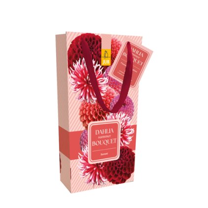 Jiřiny SUMMER BOUQUET SUNSET 4 ks