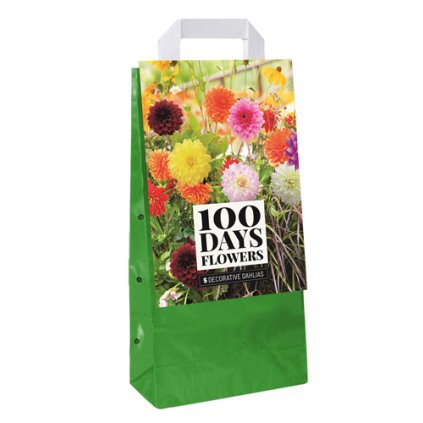 Jiřiny DECORATIVE MIX 5 ks