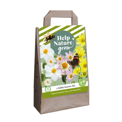 Jiřiny SUNRISE MIX 5 ks