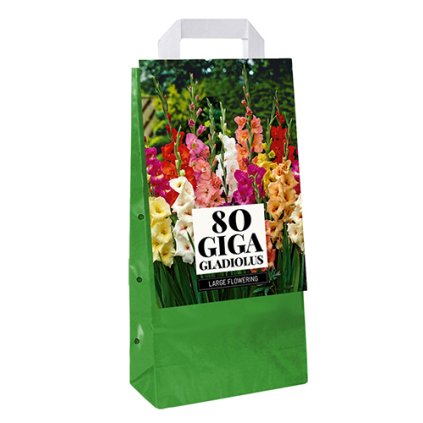 Mečík LARGE FLOWERING MIX 80 ks