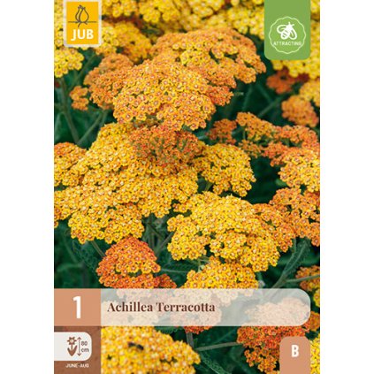 Řebříček TERRACOTTA 1 ks