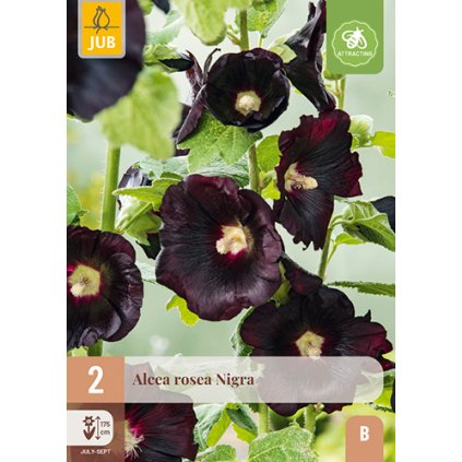 Topolovka ROSEA NIGRA 2 ks