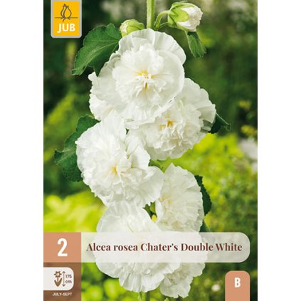 Topolovka ROSEA WHITE 2 ks