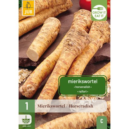 Křen HORSERADISH 1 ks