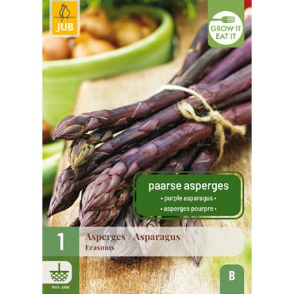 Chřest ERASMUS 1 ks