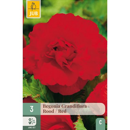 Begónie GRANDIFLORA RED 3 ks