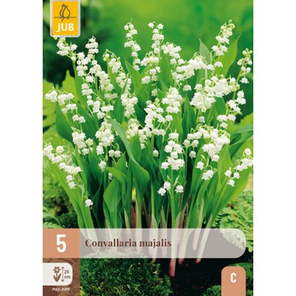 CONVALLARIA MAJALIS 5X