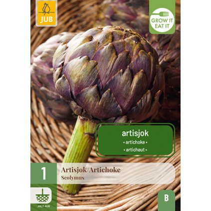 Artyčok CYNARA SCOLYMUS 1 ks