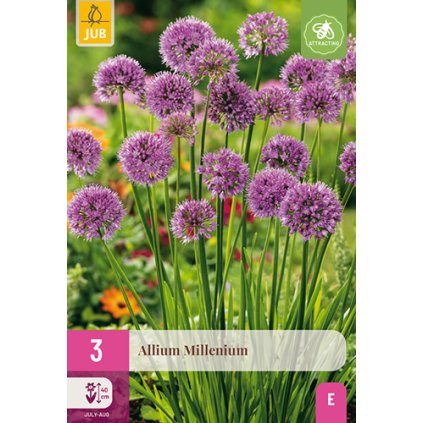 Česnek MILLENIUM 3 ks