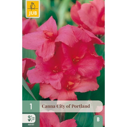 Dosna CITY OF PORTLAND 1X