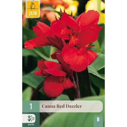 Dosna RED DAZZLER 1X