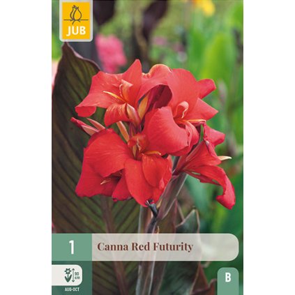 Dosna RED FUTURITY 1 ks