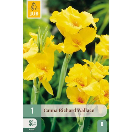 Dosna RICHARD WALLACE 1X