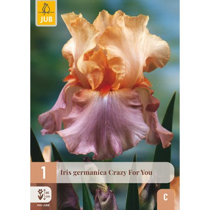 Duhovka GERMANICA CRAZY FOR YOU 1 ks