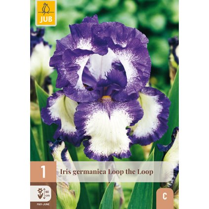 Duhovka GERMANICA LOOP THE LOOP 1 ks